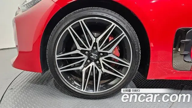 Kia Stinger 2021 — Фото 5/20