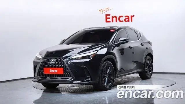 Lexus NX350h 2025 — ფოტო 10/36