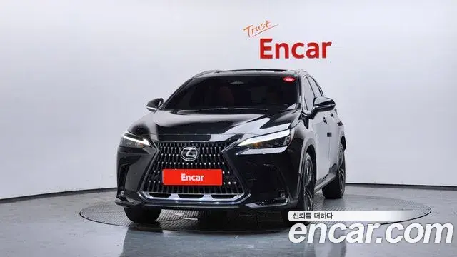 Lexus NX350h 2025 — ფოტო 4/36