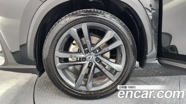 Lexus NX350h 2025 — ფოტო 21/36