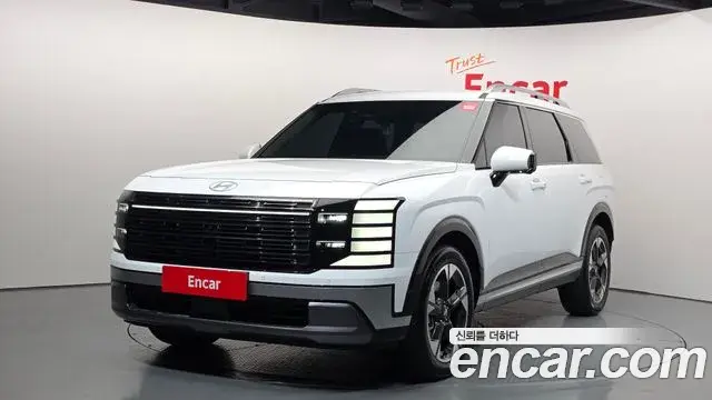Hyundai Palisade 2025 — ფოტო 13/20
