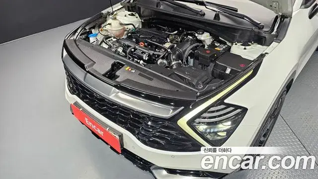 Kia Sportage 2021 — Фото 6/20