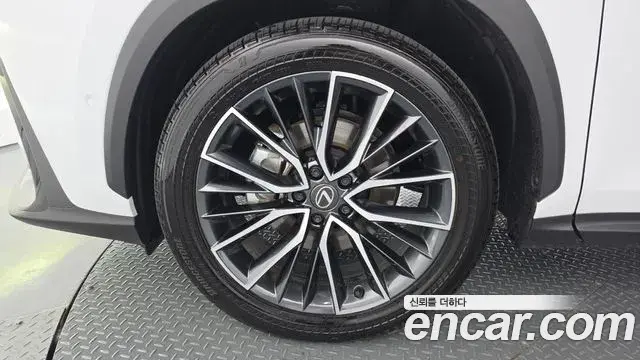 Lexus NX350h 2026 — ფოტო 23/35