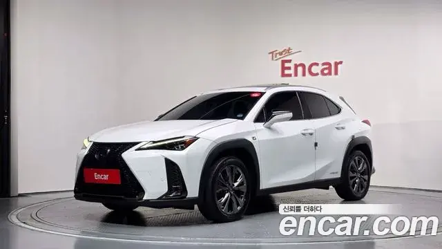 Lexus UX250h 2020 — ფოტო 15/32