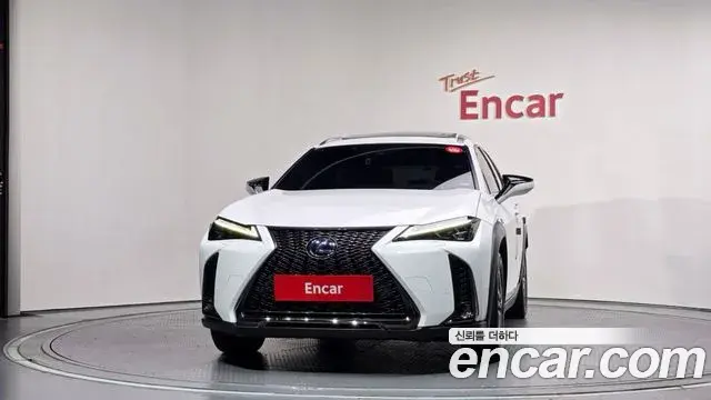 Lexus UX250h 2020 — ფოტო 9/32