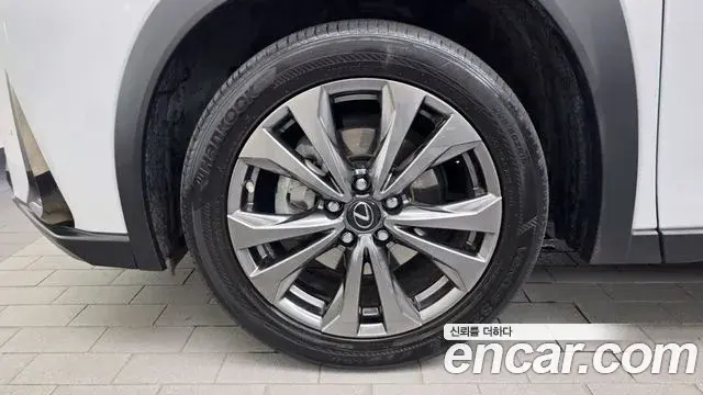 Lexus UX250h 2020 — ფოტო 28/32