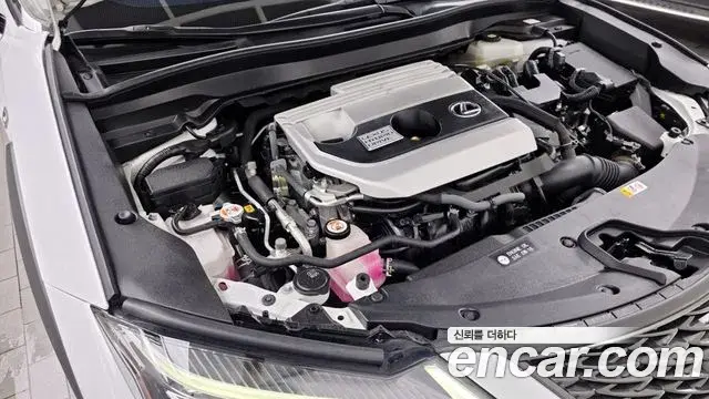 Lexus UX250h 2020 — ფოტო 5/32