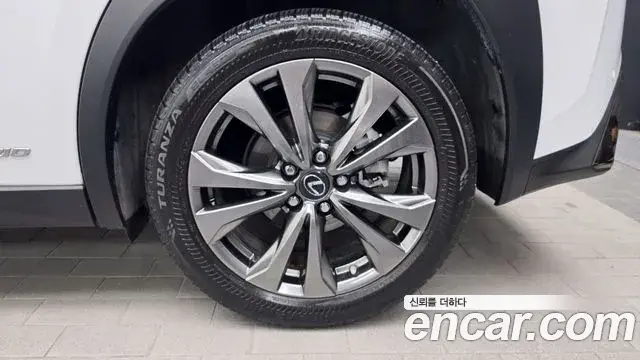 Lexus UX250h 2020 — ფოტო 24/32
