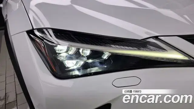 Lexus UX250h 2020 — ფოტო 14/32