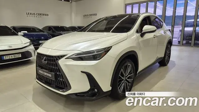 Lexus NX350h 2025 — Şəkil 2/20