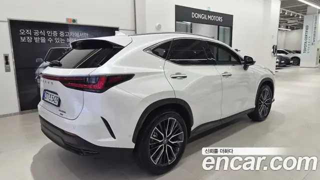 Lexus NX350h 2025 — Şəkil 8/20