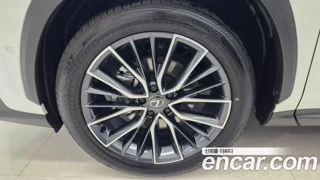 Lexus NX350h 2025 — Şəkil 19/20