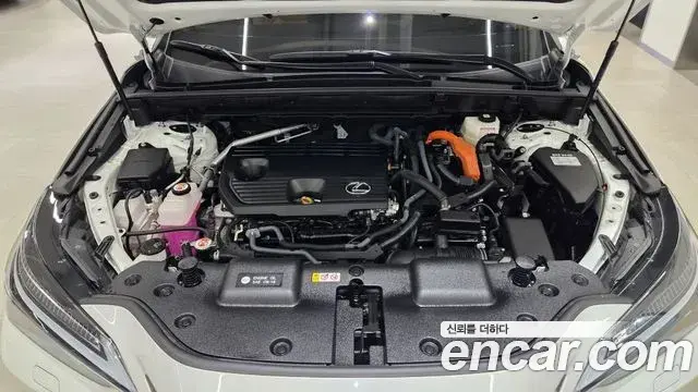 Lexus NX350h 2025 — Şəkil 20/20