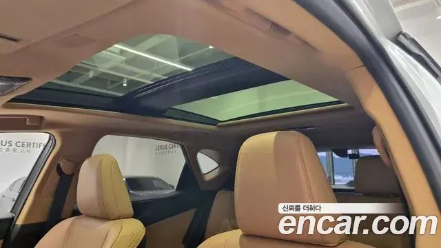 Lexus NX350h 2025 — Şəkil 15/20