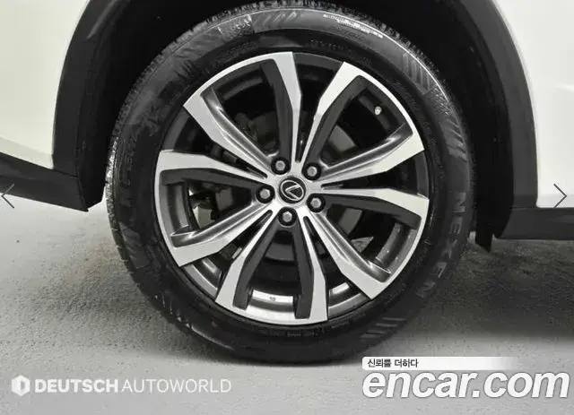 Lexus RX450h 2019 — Photo 16/20