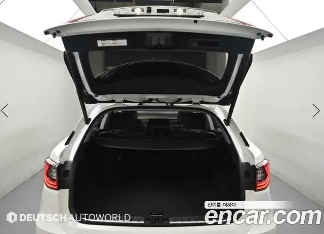 Lexus RX450h 2019 — Photo 11/20