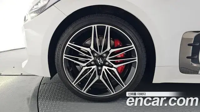 Kia Stinger 2020 — Фото 5/20