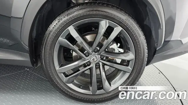 Lexus NX350h 2025 — ფოტო 2/34