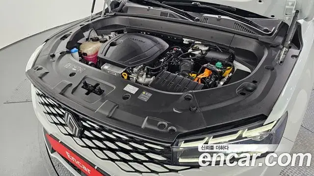 Renault Samsung Grand Koleos 2025 — Фото 5/20