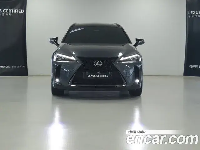 Lexus UX300h 2025 — Şəkil 14/16