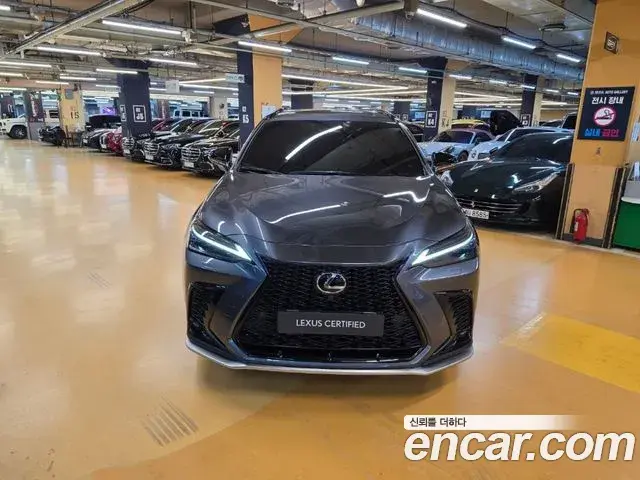 Lexus NX450h+ 2023 — Şəkil 20/20