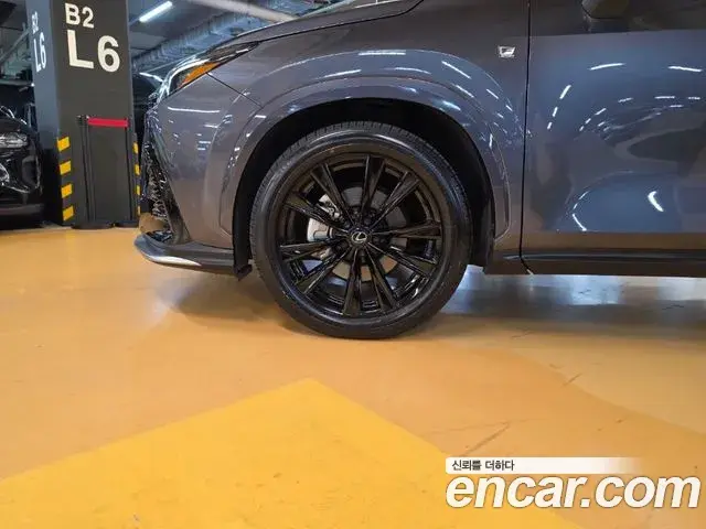 Lexus NX450h+ 2023 — Şəkil 10/20