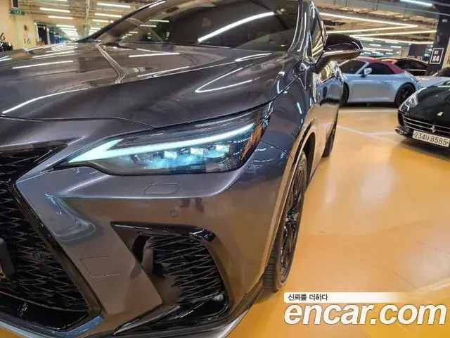 Lexus NX450h+ 2023 — Şəkil 17/20