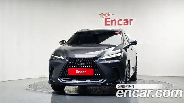 Lexus NX450h+ 2023 — Фото 3/20