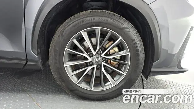 Lexus NX450h+ 2023 — Şəkil 11/31