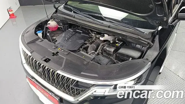 Kia Carnival 2021 — Фото 6/20
