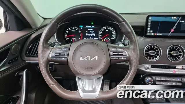 Kia Stinger Meister 2022 — ფოტო 6/20