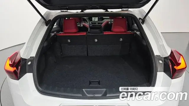 Lexus UX250h 2022 — Şəkil 12/20