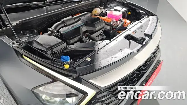 Kia Sportage 2022 — Şəkil 3/20