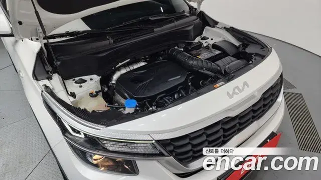 Kia Seltos 2021 — Photo 12/20