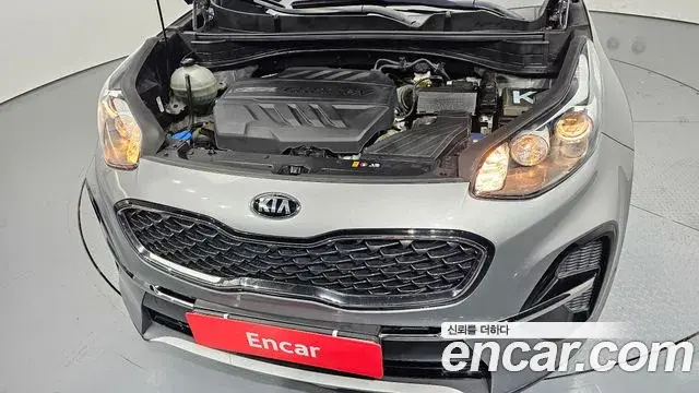 Kia Sportage The Bold 2019 — Фото 6/20