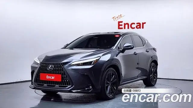 Lexus NX350h 2023 — Фото 1/20
