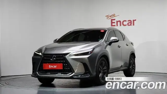 Lexus NX350h 2023 — Фото 9/20
