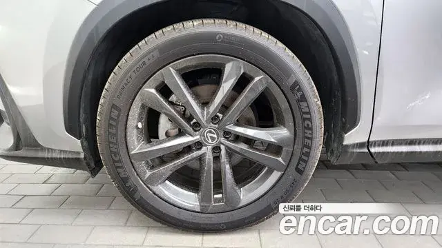 Lexus NX350h 2023 — Фото 4/20