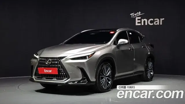 Lexus NX350h 2025 — Photo 20/32
