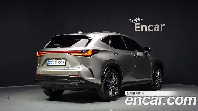 Lexus NX350h 2025 — Photo 15/32
