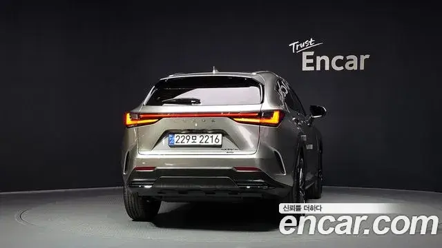 Lexus NX350h 2025 — Photo 23/32