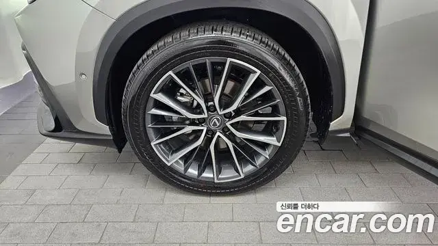 Lexus NX350h 2025 — Photo 24/32