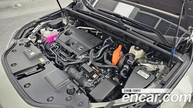 Lexus NX350h 2025 — Photo 2/32
