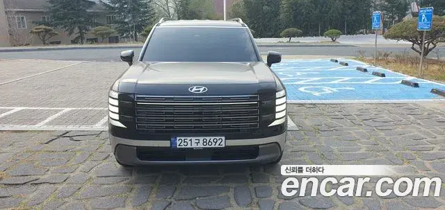 Hyundai Palisade 2025 — ფოტო 7/20