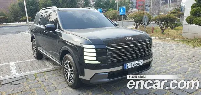 Hyundai Palisade 2025 — ფოტო 5/20