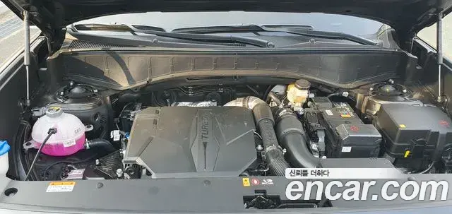 Hyundai Palisade 2025 — ფოტო 19/20