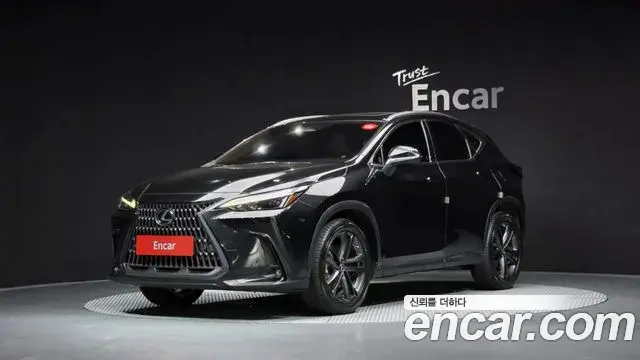 Lexus NX350h 2023 — ფოტო 18/37