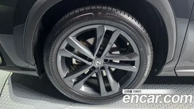 Lexus NX350h 2023 — ფოტო 15/37