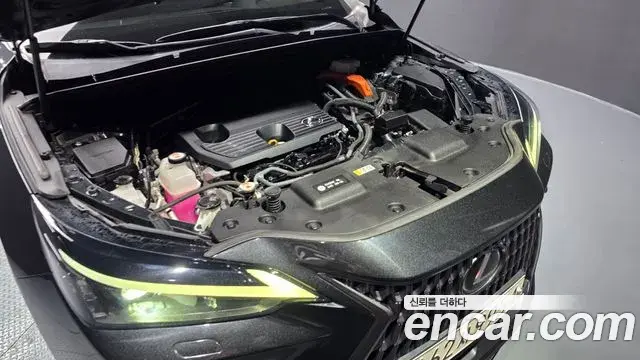 Lexus NX350h 2023 — ფოტო 36/37