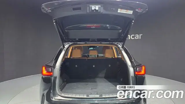 Lexus NX350h 2023 — ფოტო 11/37